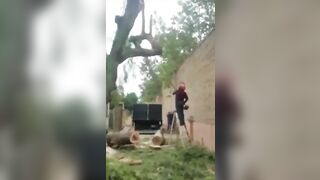 Man's Face Mutilated By A Tree 