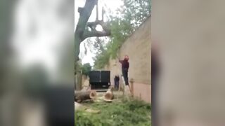 Man's Face Mutilated By A Tree 