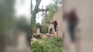 Man's Face Mutilated By A Tree 