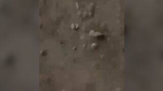 Mass Executions Of Afghan Soldiers 