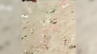 Mass Executions Of Afghan Soldiers 