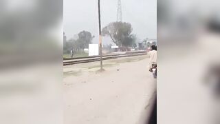 Mule Hit By Train 