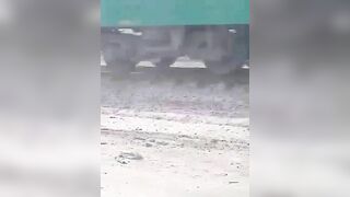 Mule Hit By Train 