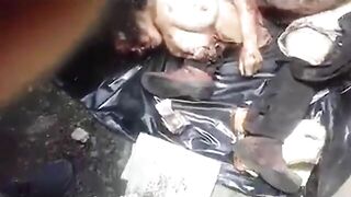 The Remains Of A Suicide Bomber With Perfect Breasts 