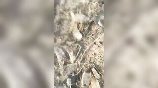 Dead Mujahideen Soldiers 