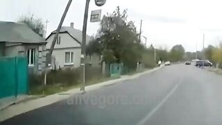 They Flew 