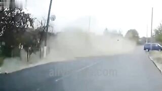 They Flew 