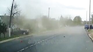 They Flew 