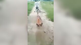 Being Dragged Behind A Motorcycle And Tortured 