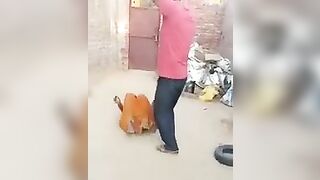 Wife Punished By Husband For Having Affair 