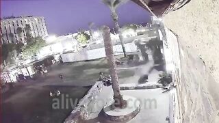 Woman Killed By Falling Palm Tree 