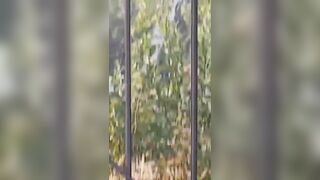 Suicidal Woman Falls Off Ferris Wheel 