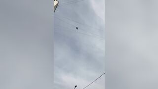 Young Man Falls To Death After Grabbing Cable