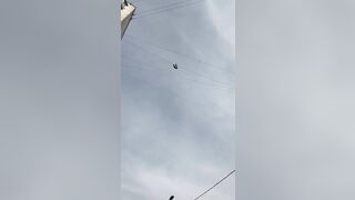 Young Man Falls To Death After Grabbing Cable