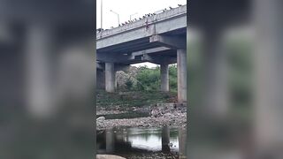 Indian Youth Jumps Off Dana Bridge 