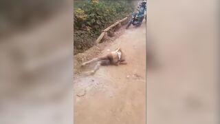 Friendly Reminder: Don’t Steal In Africa