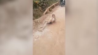 Friendly Reminder: Don’t Steal In Africa