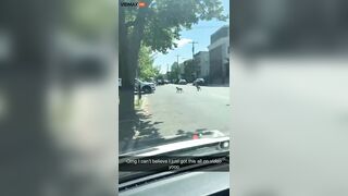 A Pack Of Wild Pit Bulls Attacks A Man In Philadelphia