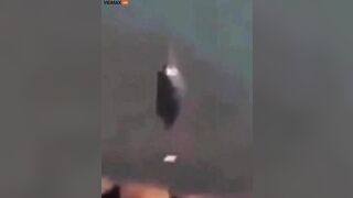 UFO Lands On US Nuclear Facility