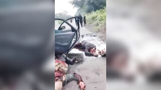 Freedom Fighters From Ambazonia Ambush Militias And Eliminate Them