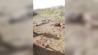 Beaten And Executed By Local Residents