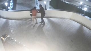 Businessman Pushes Man Off Hotel Terrace After Argument