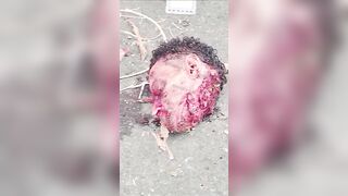 The Criminal's Head Was Chopped Off And Discarded