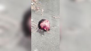 The Criminal's Head Was Chopped Off And Discarded