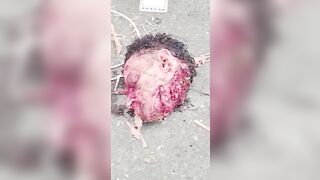 The Criminal's Head Was Chopped Off And Discarded