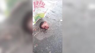 The Criminal's Head Was Chopped Off And Discarded