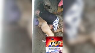 Dog Caught Eating Owner's Body