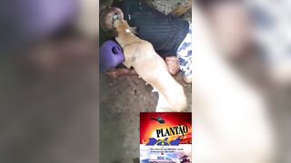 Dog Caught Eating Owner's Body