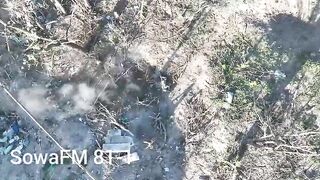 Drones Torture Russians