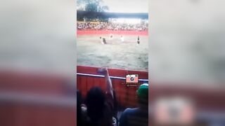 Ecuadorian Man Gored By Bull