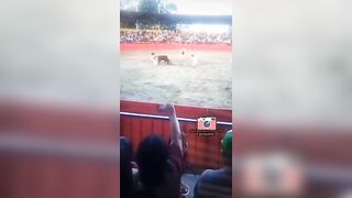 Ecuadorian Man Gored By Bull