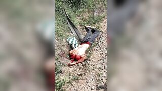 Indonesian Man Beheads Himself On Railway Tracks