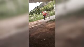 A Drunk Idiot Got Kicked In The Eye By A Donkey