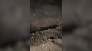 New Drug Cartel Executes In Shallow Grave In Mexico