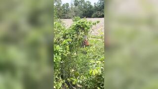 Polish Man Commits Suicide By Jumping From Cell Phone Tower