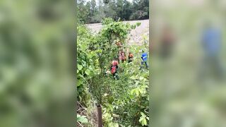 Polish Man Commits Suicide By Jumping From Cell Phone Tower