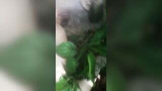 Brazilian Gang Ends Life Of Beautiful Woman