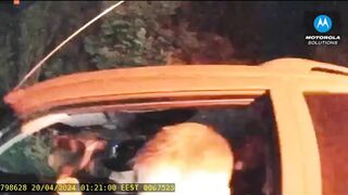 Two Ukrainian Police Officers Stop An SUV