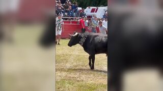 Victim Brutally Mauled By Bull At Mexican Festival