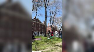 Watch Hundreds Of Harvard Students Embrace Islam