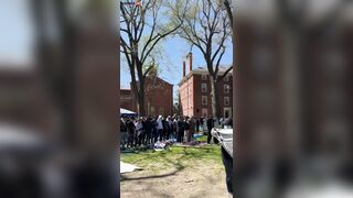 Watch Hundreds Of Harvard Students Embrace Islam