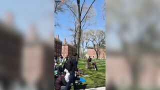 Watch Hundreds Of Harvard Students Embrace Islam