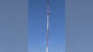 What Goes Up Must Come Down