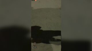 (NSFW) 17-Year-Old Teens Teasing Brazilian Gang Rivals
