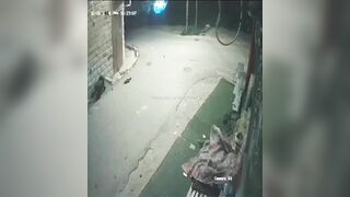 2 Innocent Palestinians Killed By IDF In Western Balkans