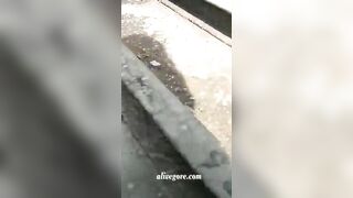 A Man Fell From A Bridge, Crushing Two Men To Death